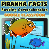 Piranha Facts Reading Comprehension - Google Classroom - D