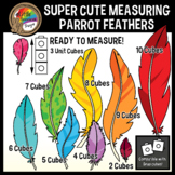 Pirates Clipart | Ready to Measure | Rainbow Parrot Feathers