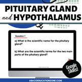 Pituitary Gland and Hypothalamus Digital and Print Endocri