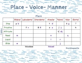 Place - Manner - Voice