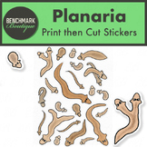 Planaria Print then Cut Sticker SVG Life Science Sticker D