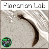Planarian Observation Lab Activity - Flatworm Live Animal Lab