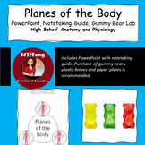 Planes of the Body: PowerPoint, Notetaking Guide, Gummy Bear Lab