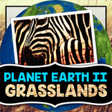 Planet Earth 2 - Grasslands - Guided Video Notes Worksheet