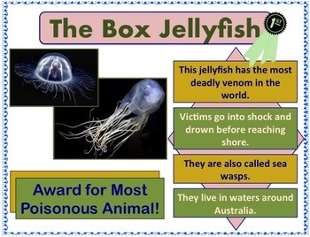 Science Activity: Awards for Amazing Plants and Animals Worksheets