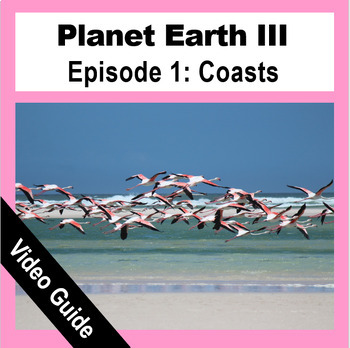 Preview of Planet Earth III - COASTS | Video Guide | BBC Earth