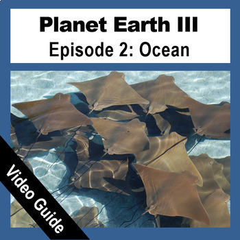 Preview of Planet Earth III - OCEAN | Video Guide | BBC Earth