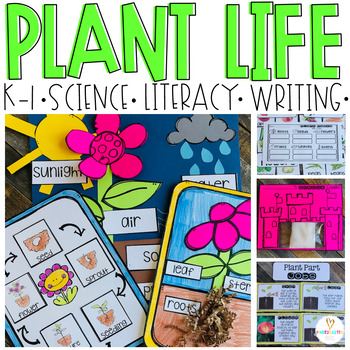Preview of Plant Activities | All About Plants | Life Cycle of a Plant | Science Lessons