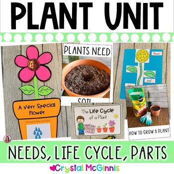 Preview of Plants Unit Activities Parts of a Plant Life Cycle Plant Needs Kindergarten