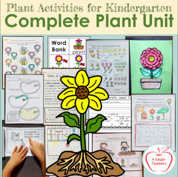 Preview of Plant Activities for Kindergarten / Complete Unit for Every Subject