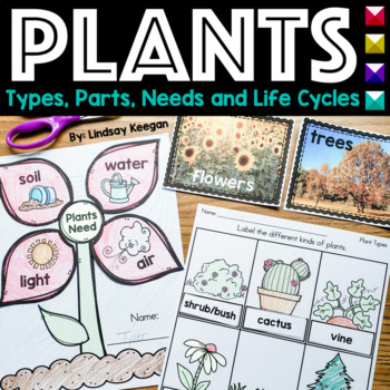 Preview of Plant Activities for Parts, Needs, Types and Life Cycles