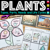 Plant Activities for Parts, Needs, Types and Life Cycles