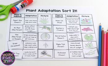 Plant Adaptations by Second Grade Smiles | Teachers Pay Teachers