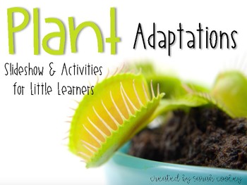 Preview of Plant Adaptations