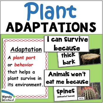 Preview of Plant Adaptations Activities for Structure and Function of Inherited Traits