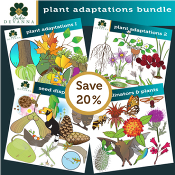 Preview of Plant Adaptations Clip Art Bundle
