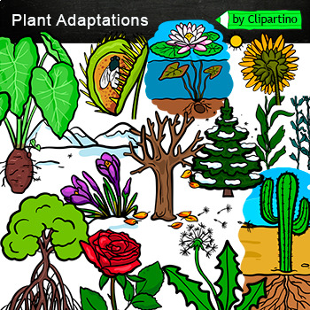 Preview of Plant Adaptations Clip Art Commercial use/ Science clipart