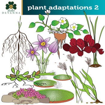 Preview of Plant Adaptations Clip Art Set # 2