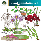 Plant Adaptations Clip Art Set # 2