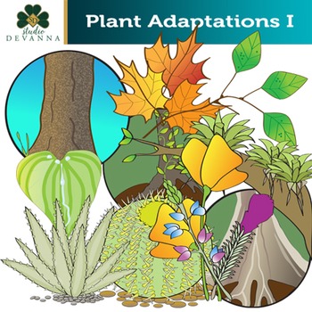 Preview of Plant Adaptations Clip Art Set # 1