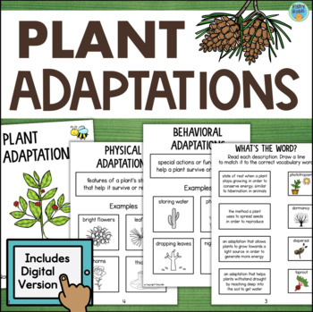 Preview of Plant Adaptations Behavior Survival Structure & Function Adaptions 3rd 4th Grade
