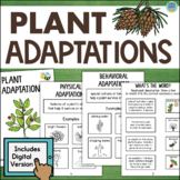 Plant Adaptations Behavior Survival Structure & Function A
