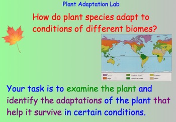 Preview of Plant Adaptations - Lesson Plans, Presentations, Lab Experiment, Videos