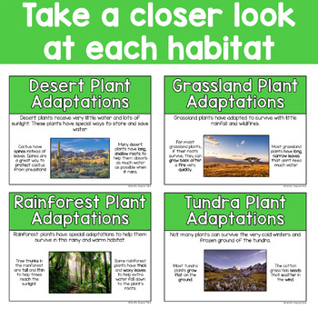 Plant Adaptation Posters by Terrific Times in Third | TPT
