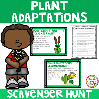 Preview of Plant Adaptations Scavenger Hunt