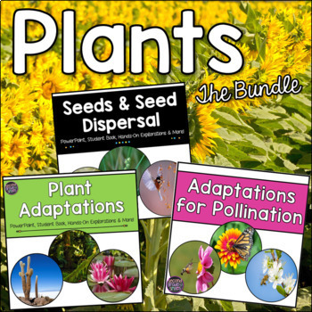Preview of Plant Adaptations, Seeds, Pollination Bundle