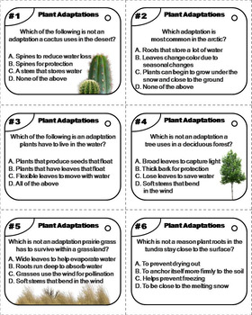 plant adaptations task cards biomes and habitats unit by science spot