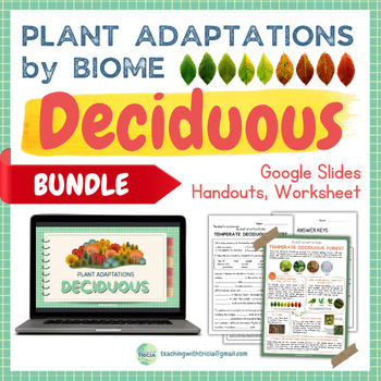 Preview of Forest Biome - Deciduous: Plant Adaptations BUNDLE, Presentation, Worksheets