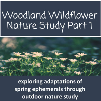 Preview of Plant Adaptations of Spring Ephemerals - A Nature Study of Woodland Wildflowers