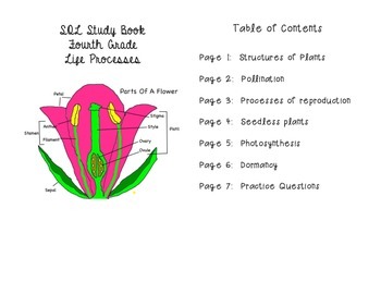 Preview of Plant Anatomy/Life Processes Study Book