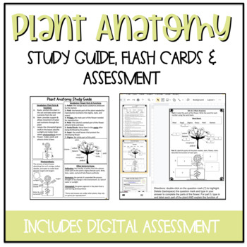 Preview of Plant & Flower Anatomy Study Packet & Assessments {DIGITAL}