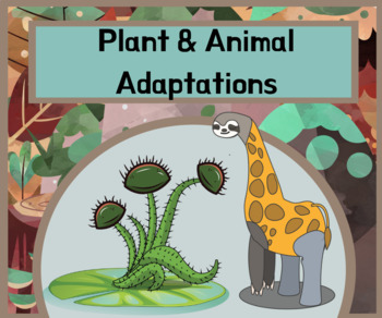 Plant & Animal Adaptations Bundle by Leasha's Lessons | TPT