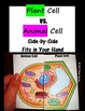 Plant & Animal Cell Comparison Side by Side by Mrs G Classroom | TPT