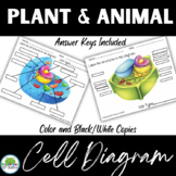 Plant Animal Cell Diagram Label Activity