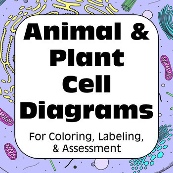 Preview of Plant & Animal Cell Diagrams for Coloring Matching Labeling Quizzes & Reference