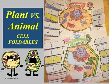 Preview of Plant Animal Cell Foldables