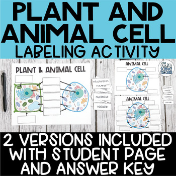 Plant and Animal Cell Labeling Activity by The Crafty Science Teacher