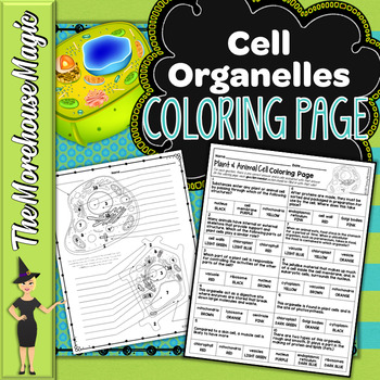 Preview of Plant & Animal Cell Organelles Science Color By Number or Quiz