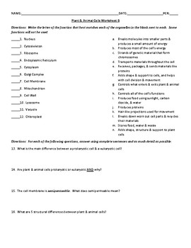 Plant Animal Cell Organelles Worksheet 4 Versions Tpt