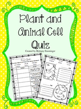 Plant & Animal Cell Quiz by Brittany Ensminger | TpT