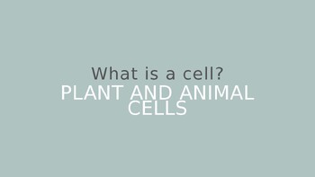 Preview of Plant & Animal Cells