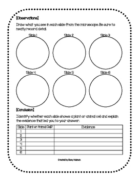 Plant & Animal Cells Experiment by Cloey Holzman | TpT