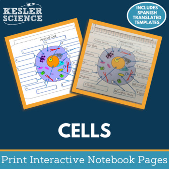 Preview of Plant & Animal Cells Interactive Notebook Pages - Paper INB