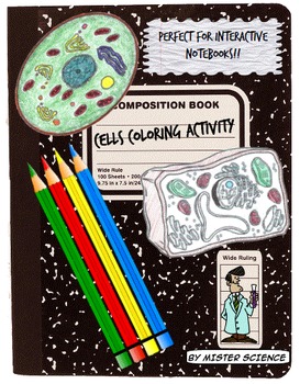 Preview of Plant Animal Cells coloring activity worksheet 6th 7th 8th high school