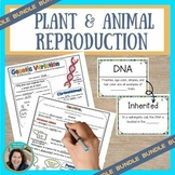 Plant and Animal Reproduction - Genetic Variation Bundle -