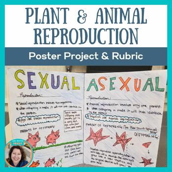 Preview of Sexual and Asexual Reproduction Poster Project Activity - Genetics & Heredity